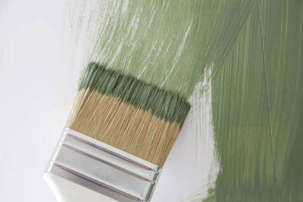Mold Odor Removal Services in Bluffton, SC