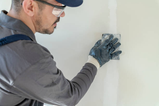 Best Dehumidification Services  in Bluffton, SC