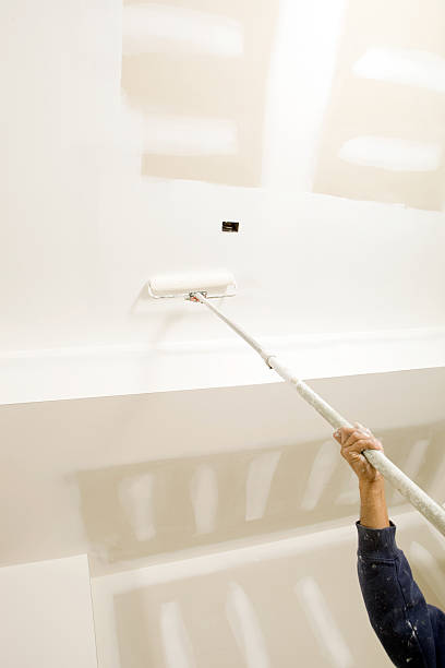 Best Post-Construction Mold Inspection  in Bluffton, SC